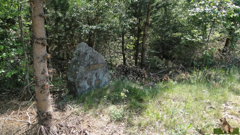 Ritterstein Nr. 180-3 Schlagbaum.JPG - Ritterstein Nr.180 Schlagbaum